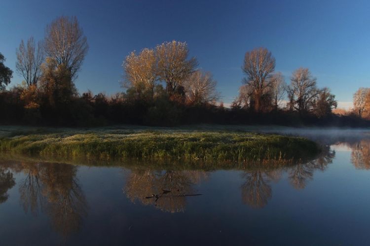 Утро на Дунае в ноябре 2016 года