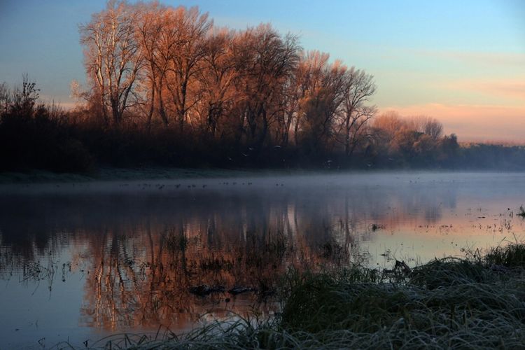 Утро на Дунае в ноябре 2016 года