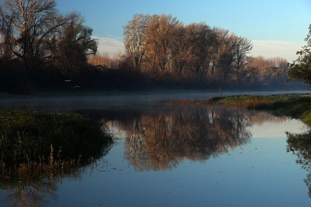 Утро на Дунае. Фото: Tanjug, Telegraf.rs, Jaroslav Pap